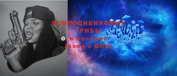 шишки Арсеньев