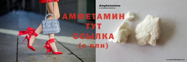 шишки Арсеньев