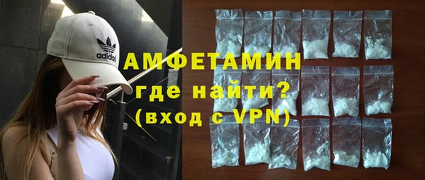 шишки Арсеньев