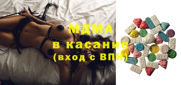 шишки Арсеньев